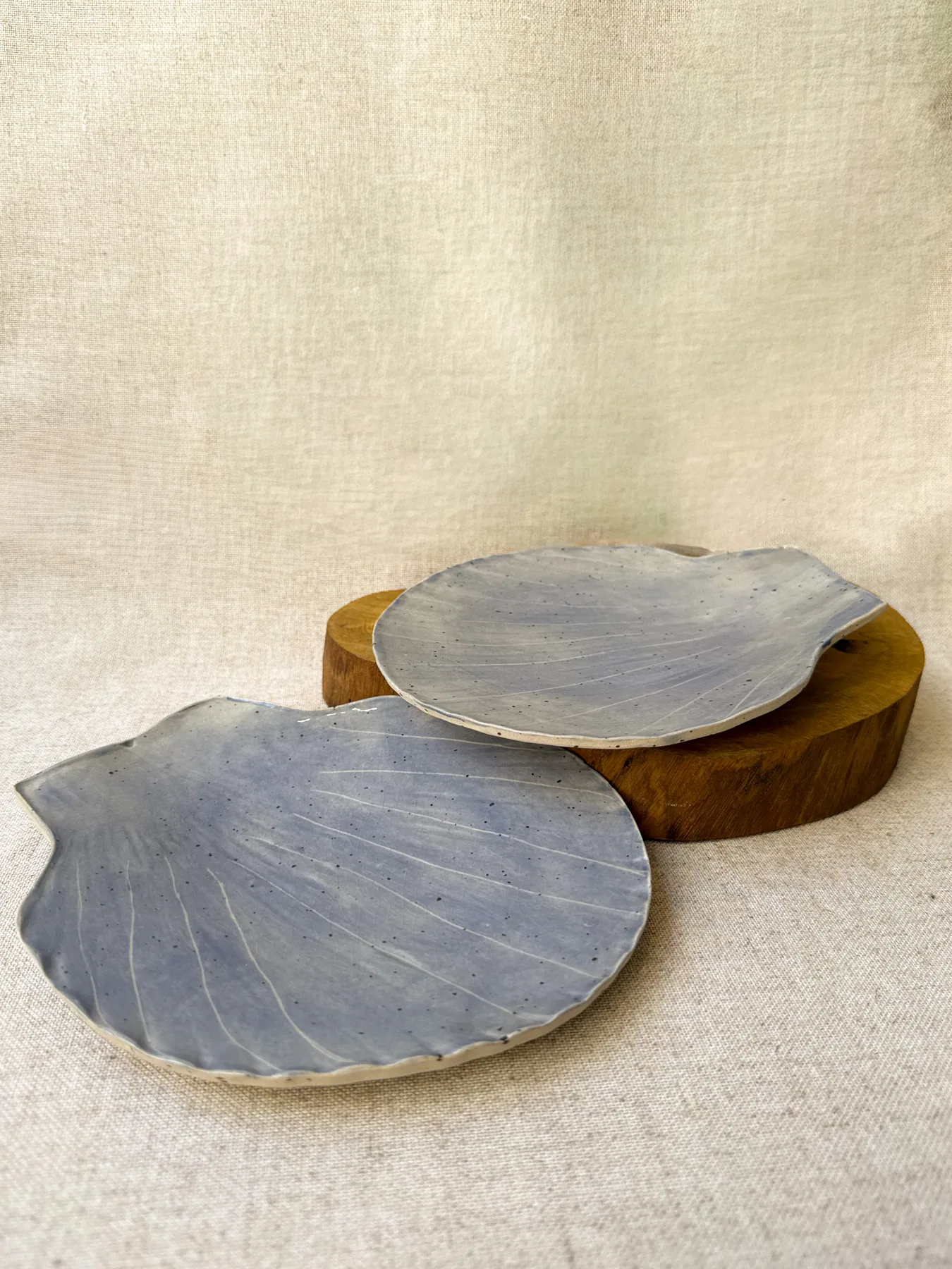Conjunto de pratos azuis artesanais